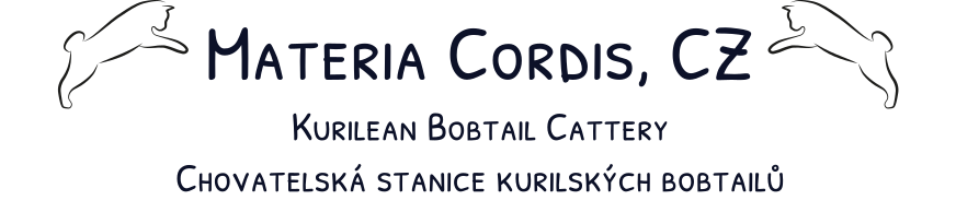 Materia Cordis, CZ - Kurilean Bobtail cattery, chovatelská stanice kurilských bobtailů
